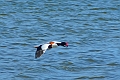13 04 14_2929_edited-1